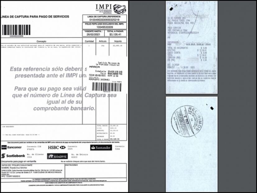 Este animal prehistórico será el logo del Aeropuerto Internacional Felipe Ángeles en Santa Lucía