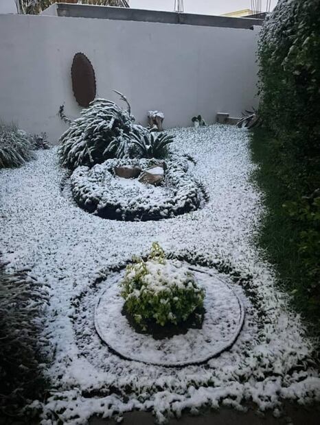 Familias disfrutan de nevada en 7 municipios de Coahuila previo a la entrada de la primavera 