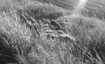 Michoacanos, los 7 ejecutados en carretera de Guanajuato