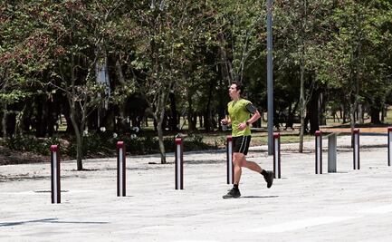 Congreso CDMX  exige informe sobre proyecto de la cuarta sección de Chapultepec