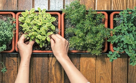 Tasting sustainability