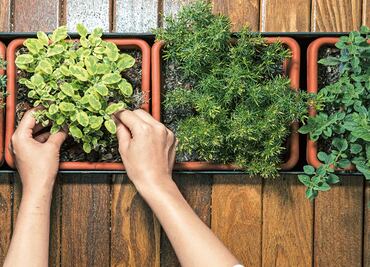 Tasting sustainability