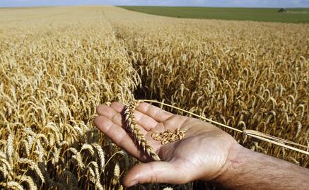 UNAM students create energy bar with amazing health benefits