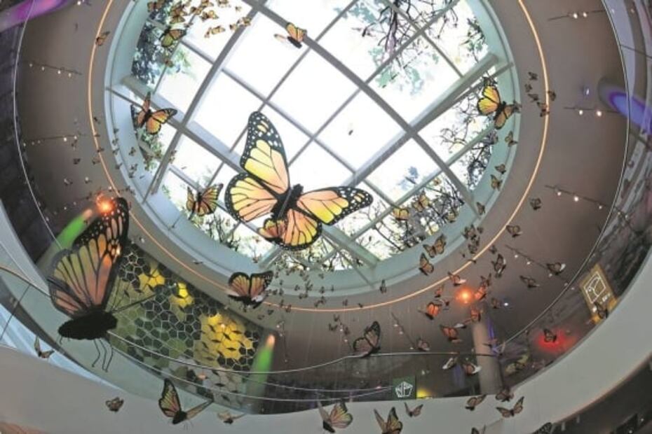 Abre sus puertas el Pabellón Nacional de la Biodiversidad