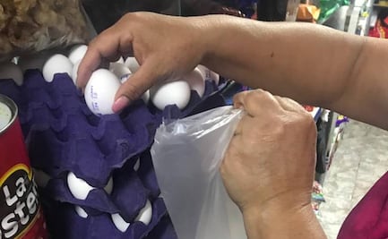 Precio del huevo: Las gallinas ponen menos por el frío; eso encarece el alimento, explica Profeco
