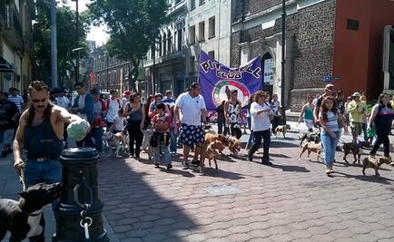 Marchan en defensa de razas de perro "potencialmente peligrosas"