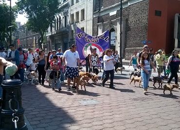 Marchan en defensa de razas de perro "potencialmente peligrosas"