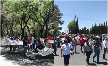 Marchan por Reforma maestros de la CNTE; se dirigen a Segob