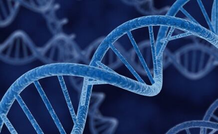 China realiza primeros experimentos genéticos en humanos