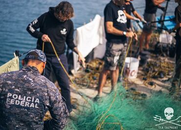 Sea Shepherd activists trying to save the vaquita were attacked by poachers