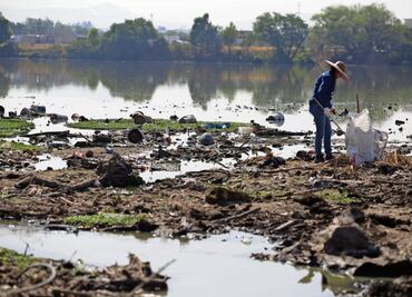 Sacan llantas y pet de la laguna de La Piedad