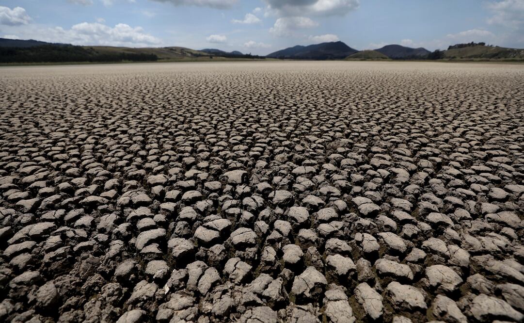 Foto: AP/Fernando Vergara, archivo