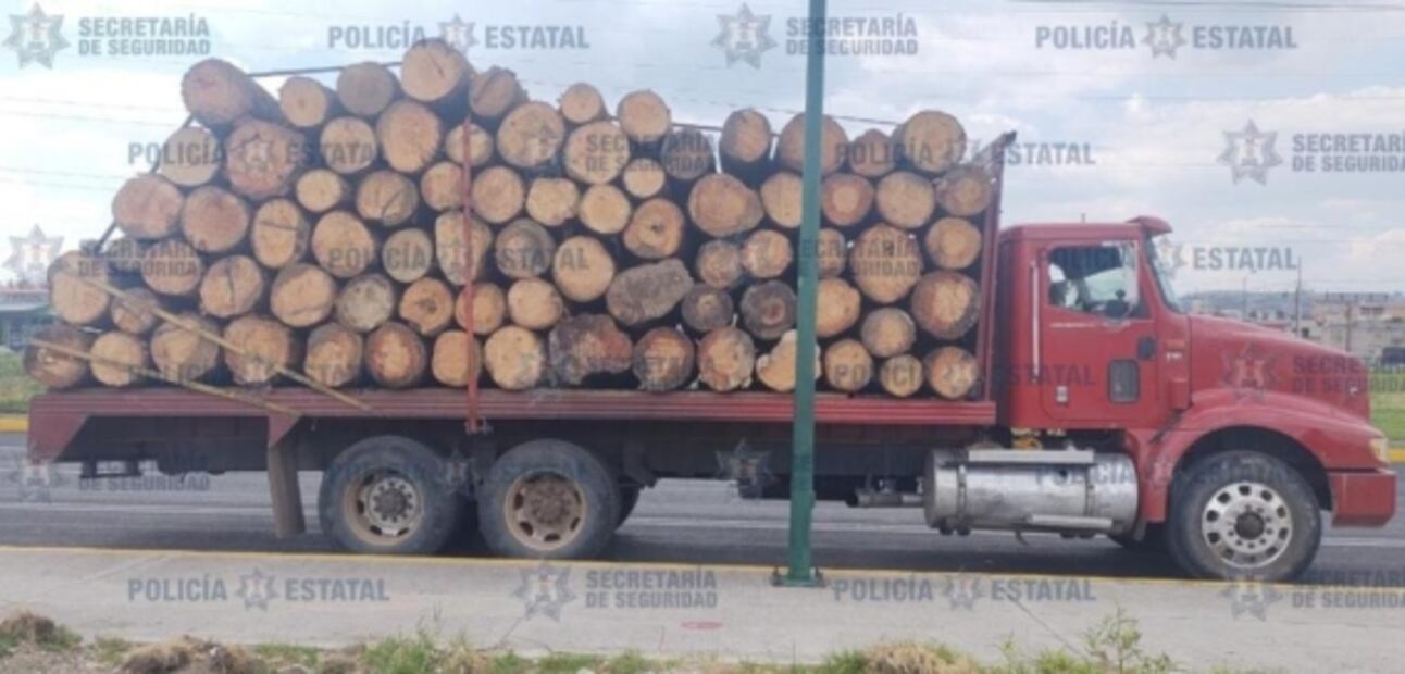 Detienen a dos personas por tala clandestina en Zinacantepec, Edomex