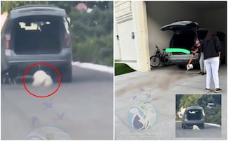 VIDEO: Mujer arrastra con su camioneta a perrito en Saltillo; usuarios en redes sociales exigen justicia para Rocky