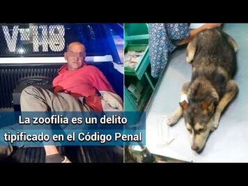 Caso de perrita violada en Nezahualcóyotl no es el único impune