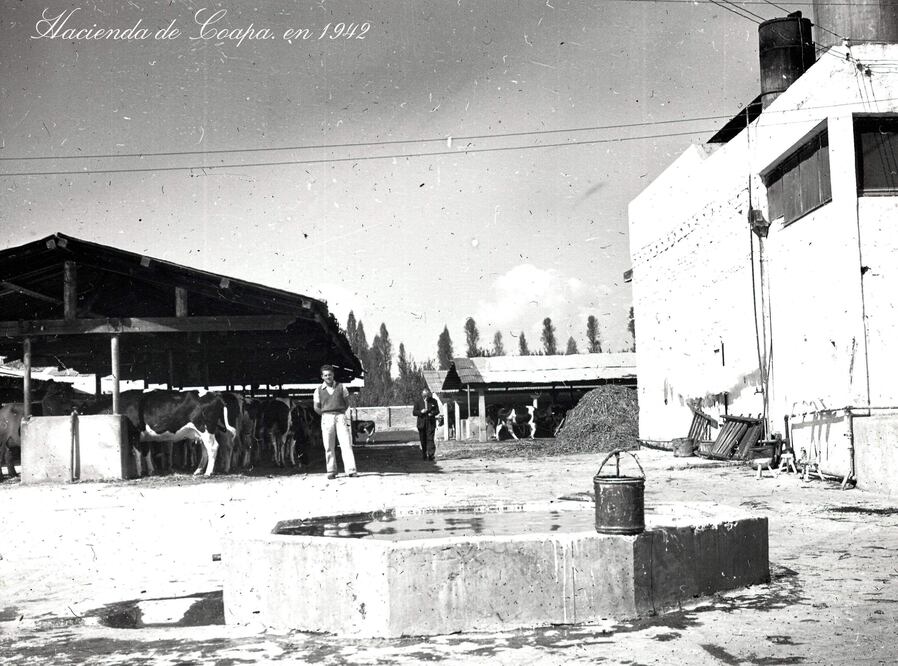 Antes hacienda, hoy es la Prepa 5 de la UNAM