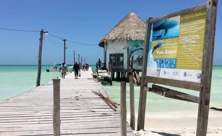 Abre nueva polémica publicación del Programa de Manejo de Yum Balam, en QRoo