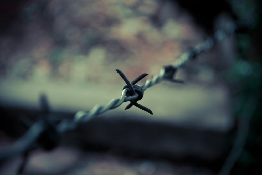 FOTO ILUSTRATIVA: Pixabay