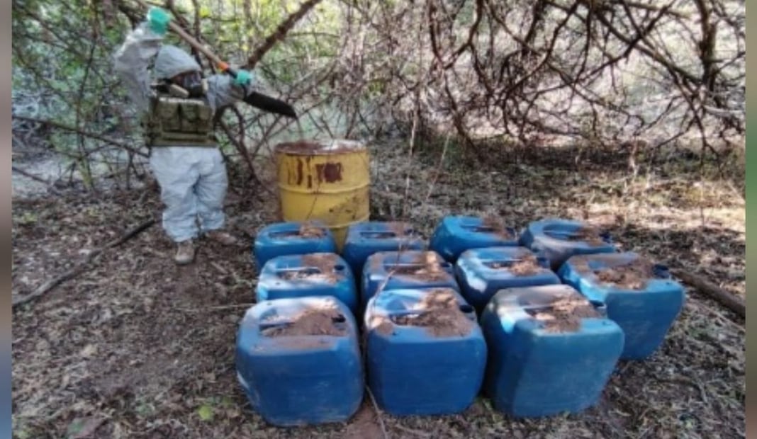 Aseguran químicos y plantío de mariguana en Culiacán; operativo contra laboratorios clandestinos. Foto: Especial