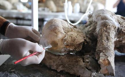 La catástrofe de Pompeya pudo suceder en otra fecha