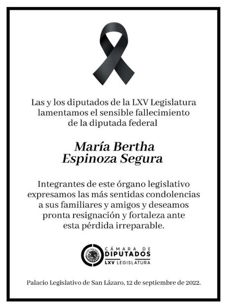 Muere la diputada federal Bertha Espinoza Segura, de Morena