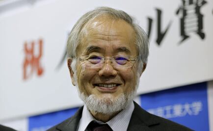 Perfil. Yoshinori Ohsumi, Nobel de Medicina 2016