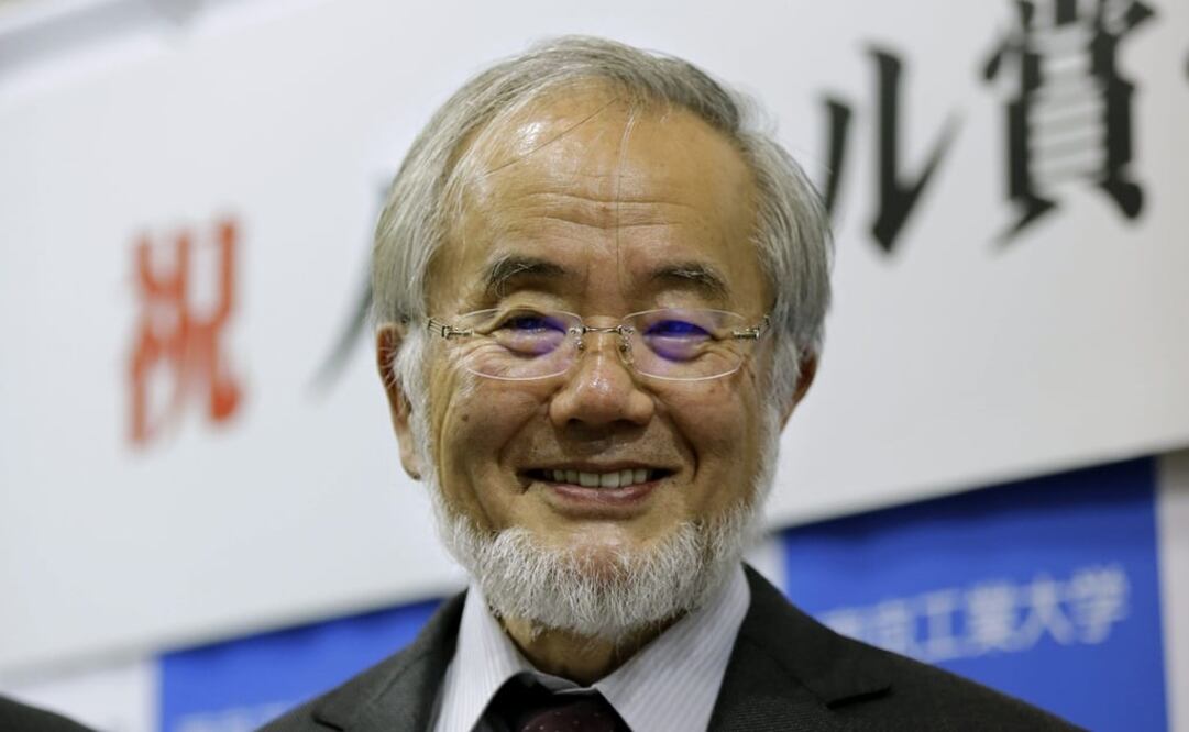 El biólogo nipón Yoshinori Ohsumi fue en 1988 el primero en identificar a través de un microscopio el mecanismo celular de la autofagia. (FOTO: EFE)