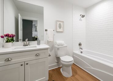 Las plantas que no debes poner en el baño si no tiene ventanas ni luz natural