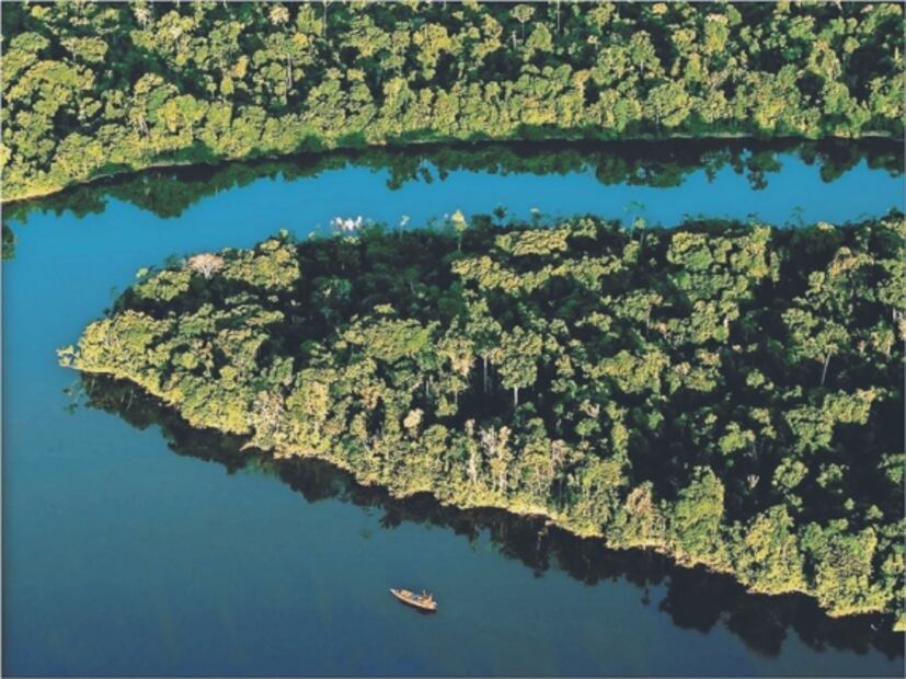 Cómo afecta al mundo el incendio en el Amazonas