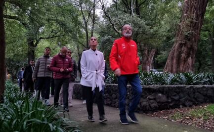 “Solo fue para visitar los ahuehuetes”: Sheinbaum sobre paseo con Slim por Bosque de Chapultepec