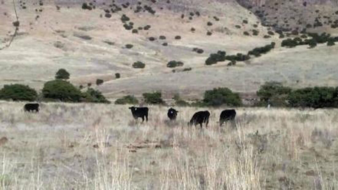 Aseguran otros cuatro ranchos a César Duarte en Chihuahua