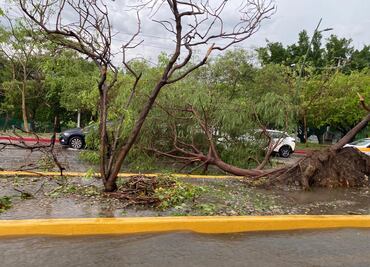 Lluvia, vientos y granizo dejan varias afectaciones en Chiapas; no hay personas lesionadas