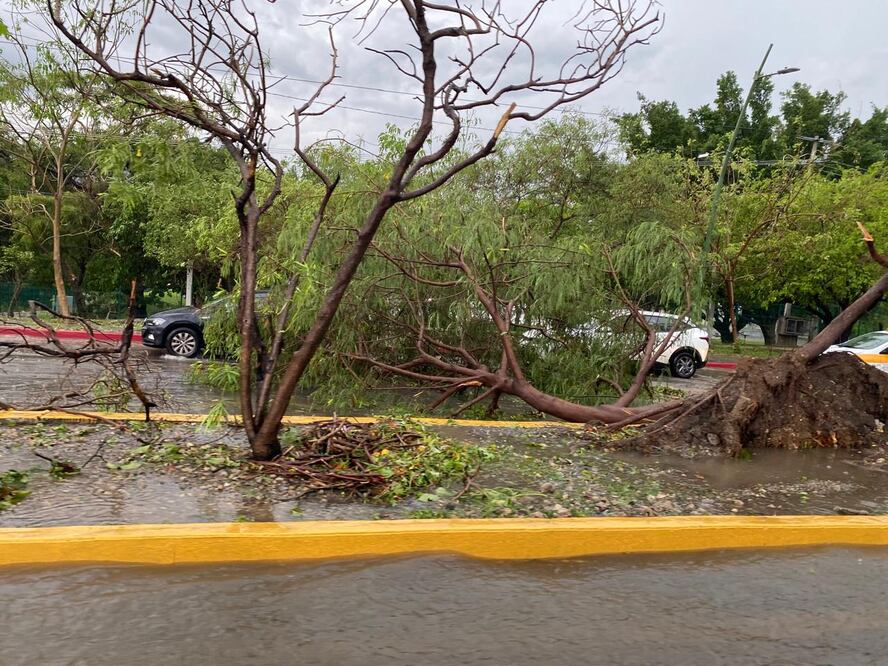Fuertes vientos, granizo y lluvia afectaron las poblaciones de Tuxtla y San Cristóbal de las Casas, en Chiapas, dejando varias afectaciones. (Foto: especial)