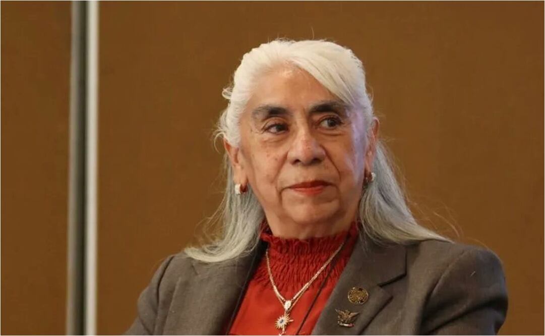 Susana Cano González, diputada de Morena. Foto: Especial