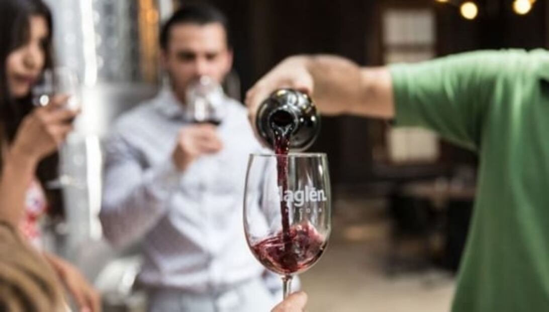 Vinícola Maglén, la expresión fresca del valle de San Antonio de las Minas