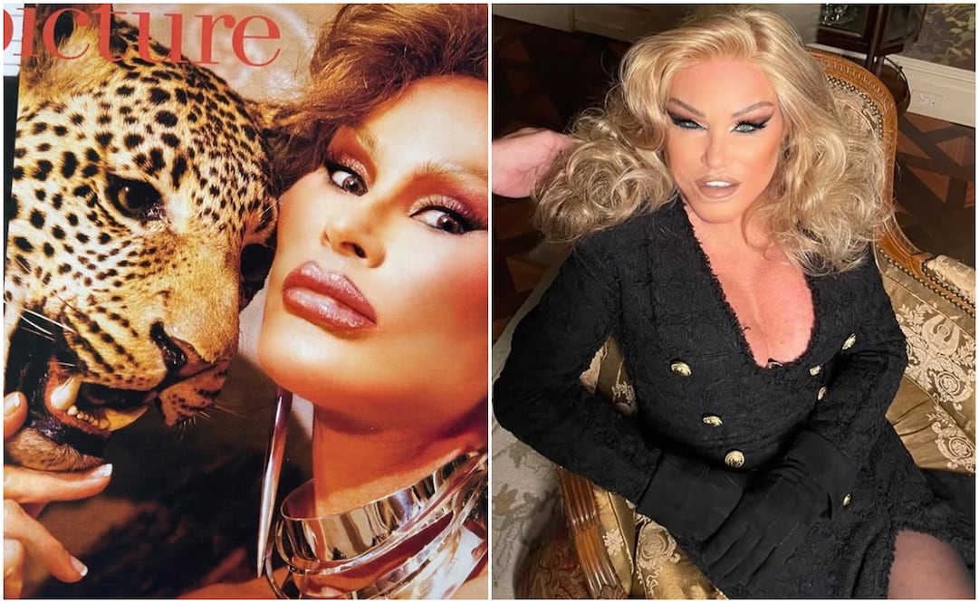Algunos afirman que Jocelyn Wildenstein quiso parecerse a un felino a toda costa o que se gastó millones de dólares para conseguirlo. Foto: jocelynewildenstein