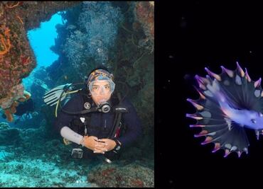 Bióloga mexicana capta impresionante avistamiento de larva de pez trípode arcoiris; así relata su "surreal" experiencia