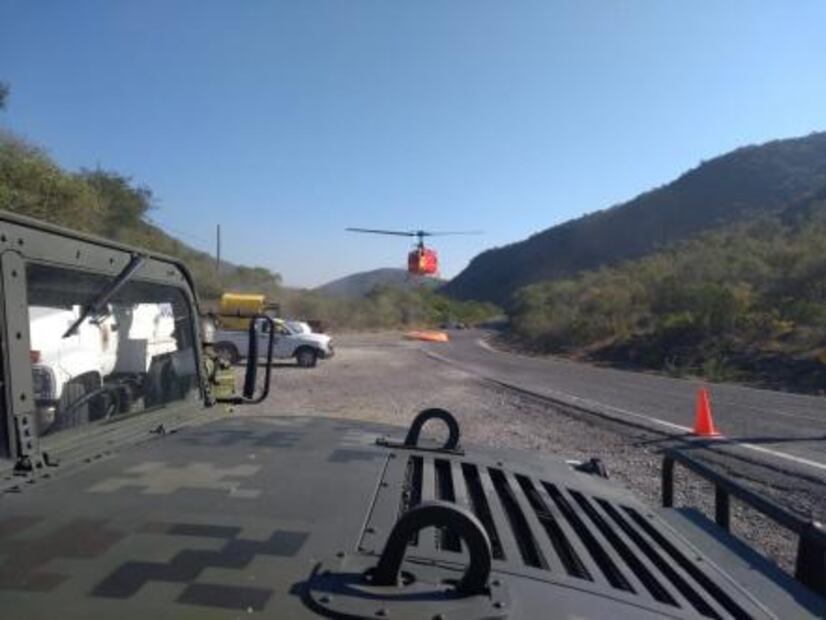 Controlan incendio forestal en Tamaulipas