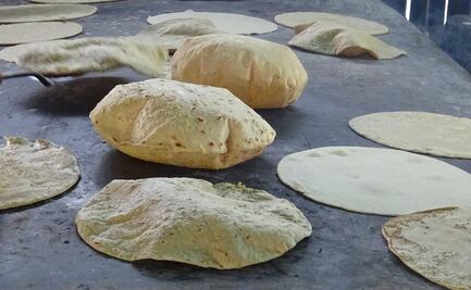 La Ley contra el maíz híbrido podría aumentar el precio de tortilla de maíz