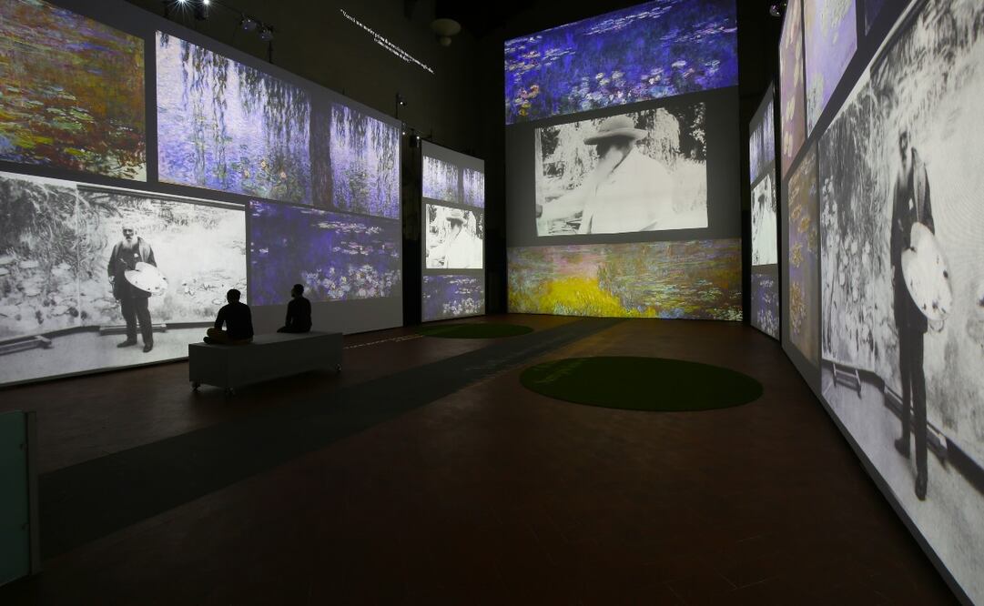 Exposición multisensorial en tiempos de Covid-19, en la CDMX. Foto: Cortesía Crossmedia México