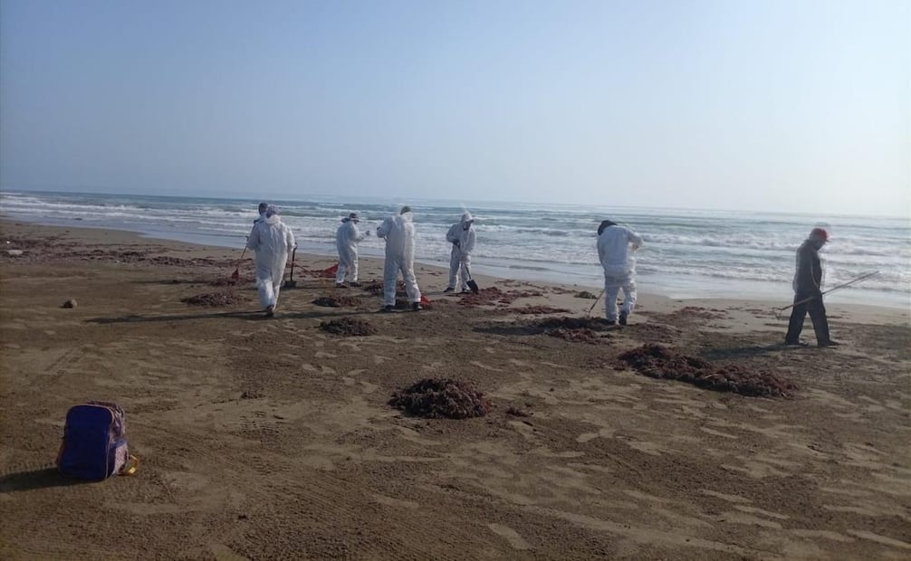 Fotos: Grupo Interinstitucional