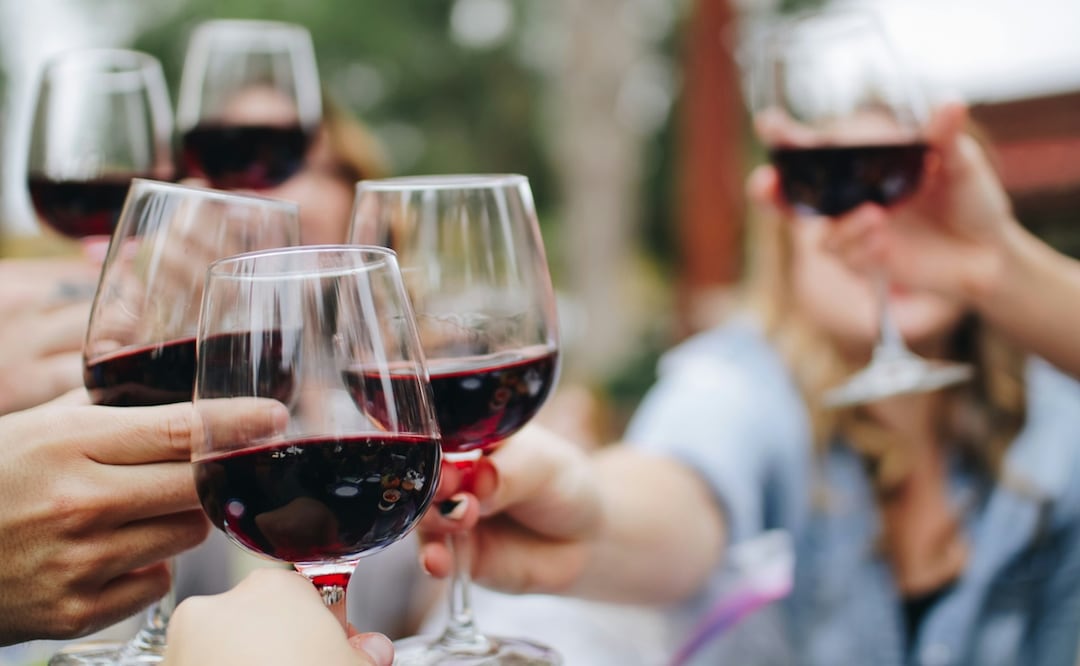 Conoce Ribera del Duero a través de sus vinos. Foto: Unsplash