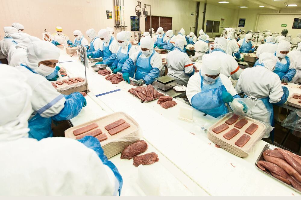 Norson tiene prevista una inversión de mil 100 millones de pesos, en los próximos 18 meses, para aumentar la planta laboral de 2 mil 900 trabajadores a más de 3 mil 600 (AMALIA ESCOBAR)