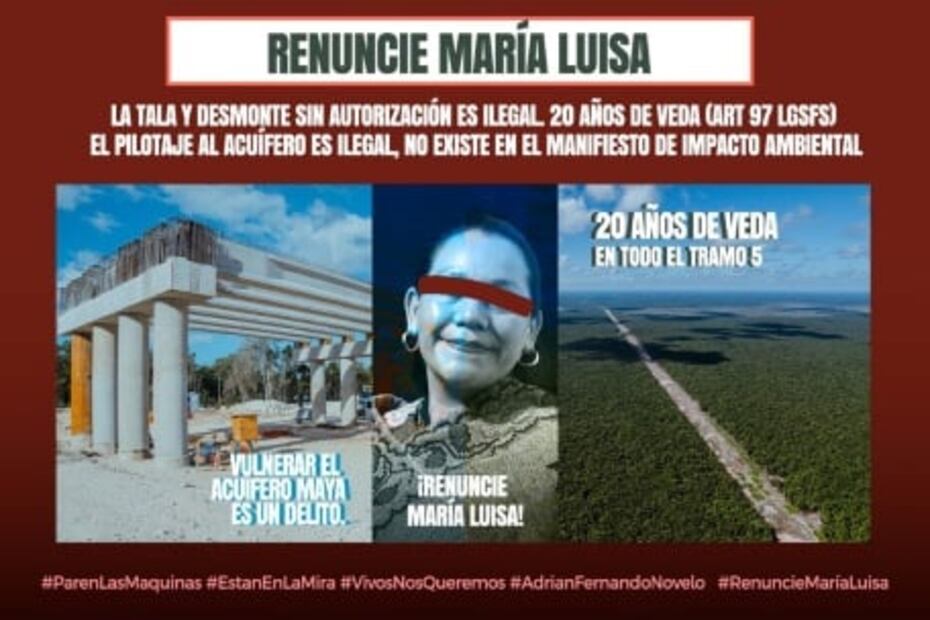 Activistas insisten que AMLO "baje del helicóptero y camine el Tramo 5" del Tren Maya; protestan por ecocidio
