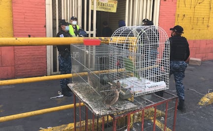 Tras incendio en Mercado Sonora, dialogarán con locatarios sobre venta de animales