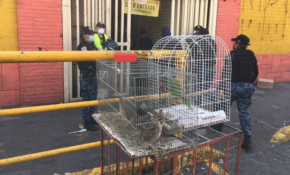 Foto: Diego Simón / EL UNIVERSAL