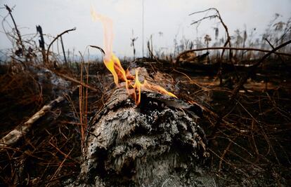 La Amazonía podría pasar de aspirador de CO2 a emisor del gas contaminante