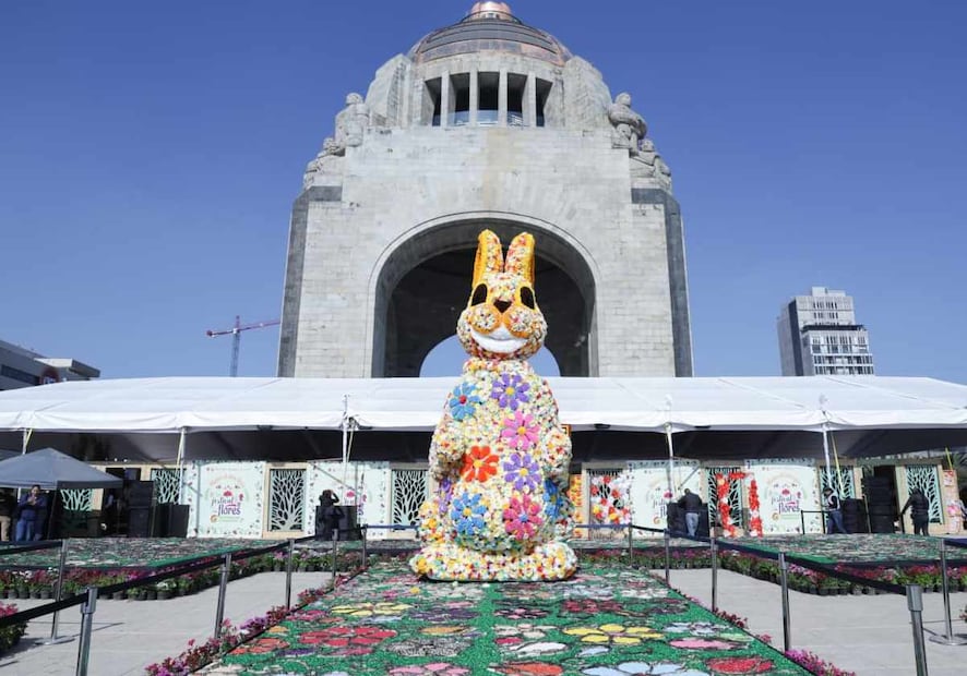 Participarán 50 productores de las alcaldías de Xochimilco, Milpa Alta, Tláhuac y Tlalpan. Foto: Especial
