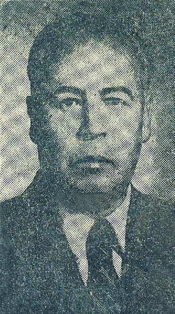 Una elefanta anduvo suelta en la ciudad