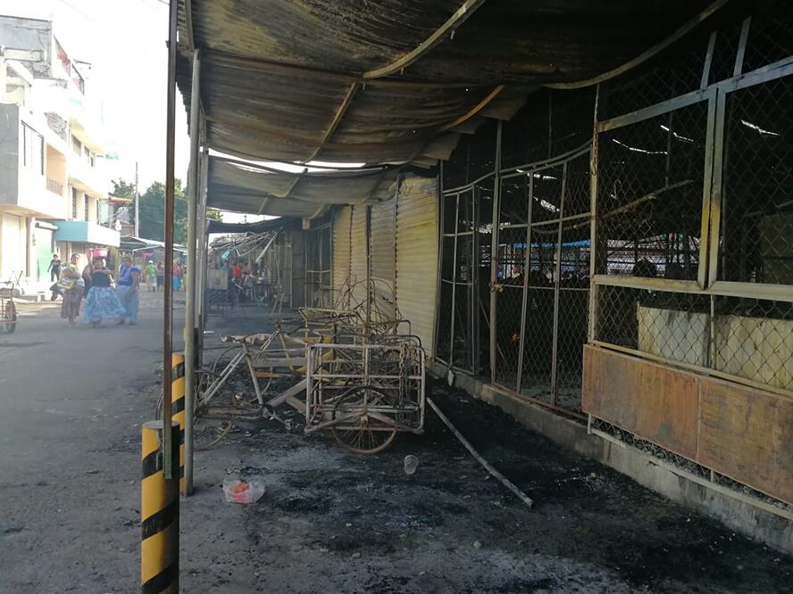 Fotos: Roselia Chaca / EL UNIVERSAL